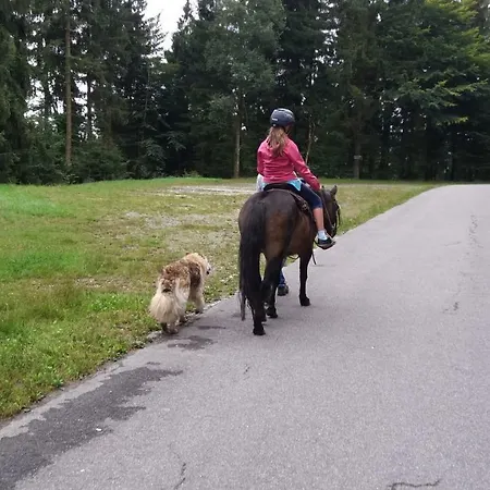 Auf Dem Erlebnisreiterhof Kreipl * Grattersdorf
