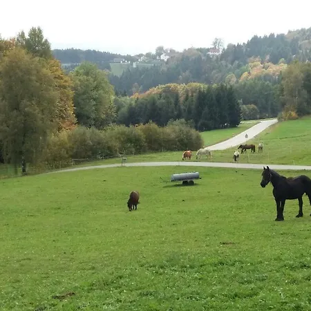 Auf Dem Erlebnisreiterhof Kreipl *